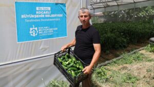 Modern seralarda hasat bereketi – Birlik Haber Ajansı