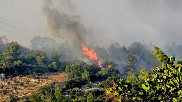 Mersin Silifke’de orman yangını! – Birlik Haber Ajansı