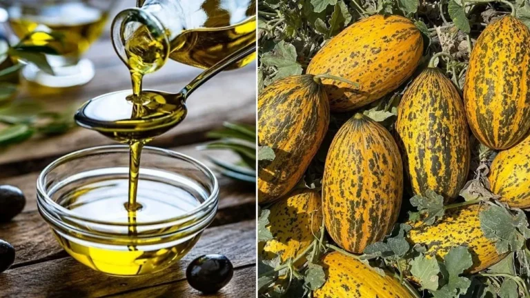 Anadolu’nun iki değeri daha AB’den tescil kazandı – Birlik Haber Ajansı