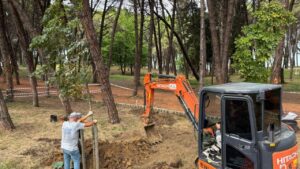 Ünye Çamlık’ta kuruyan ağaçların yerine yenileri dikiliyor – Birlik Haber Ajansı