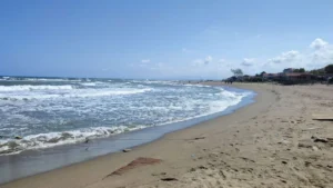 Sakarya sahillerinde denize giriş yasak – Birlik Haber Ajansı