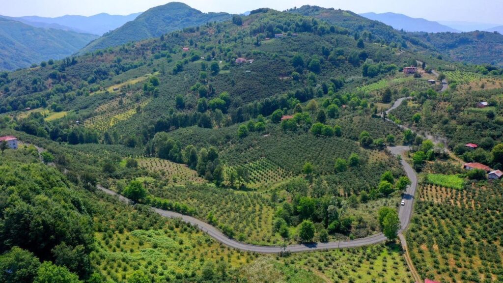 Ordu’dan Samsun’a bağlantı sağlayan yolda son düzlük – Birlik Haber Ajansı