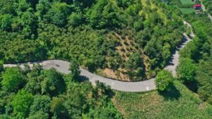 Ünye Yeniköy’de yol sevinci – Birlik Haber Ajansı