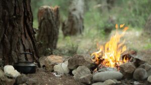 Sarıkamış Soğuksu Tabiat Parkı dışındaki ormanlık alanlara giriş-çıkışlara yasak – Birlik Haber Ajansı
