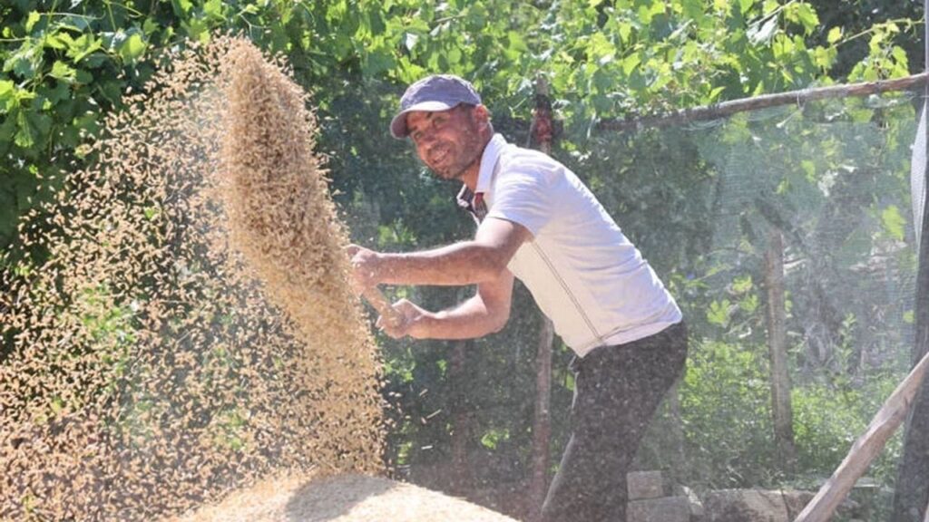 Antalya’da tarımda destek kazandırdı – Birlik Haber Ajansı