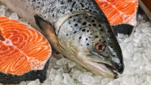 Doğu Karadeniz’in somon ihracatı 6 ayda 81,5 milyon doları aştı – Birlik Haber Ajansı