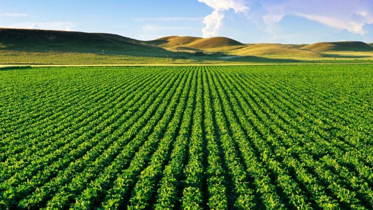 Tarımsal girdi maliyetleri yükselişte: Haziranda yıllık artış yüzde 33,9 – Birlik Haber Ajansı