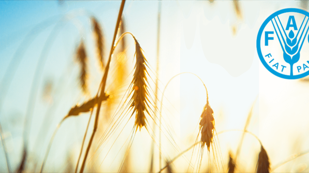 Türkiye, FAO üst yönetiminde – Birlik Haber Ajansı