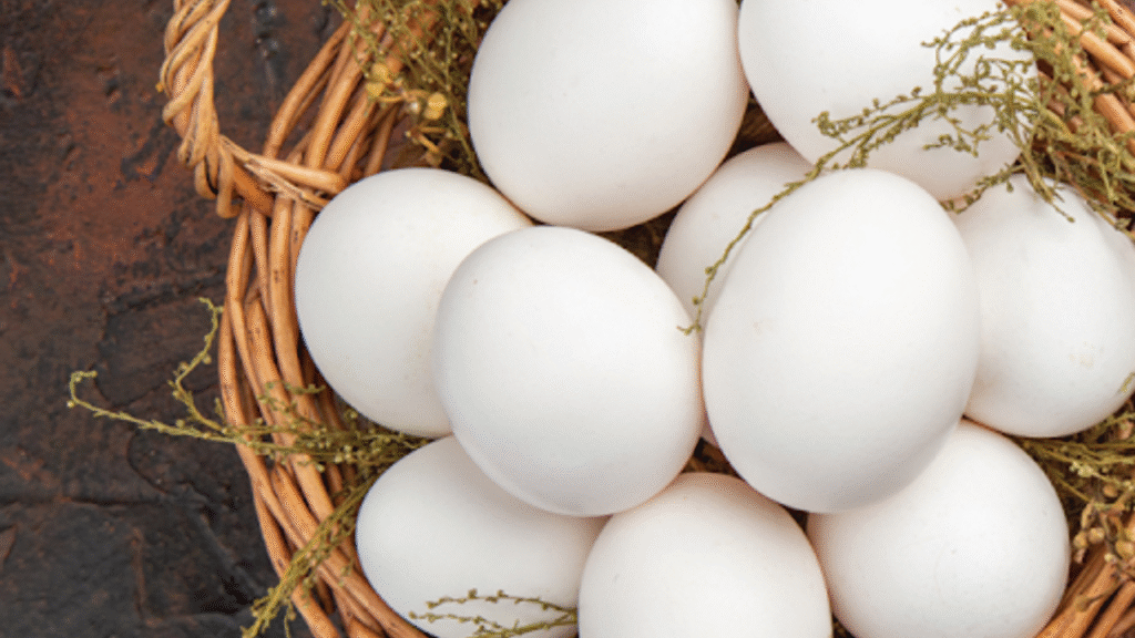 Yumurta ihracatına yeni düzenleme: İzin şartı getirildi – Birlik Haber Ajansı