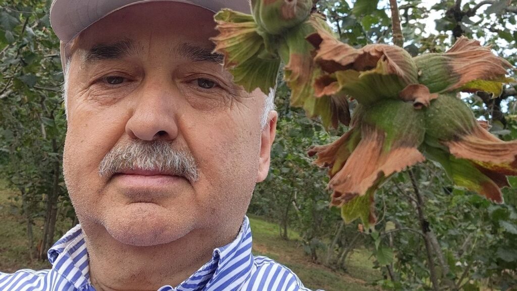 Giresun Milletvekili Ali Temür: Fındık emanet vermeyin – Birlik Haber Ajansı