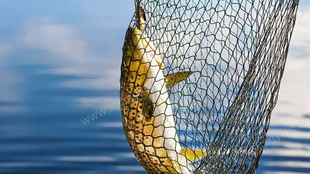 Balıkçılar 1 Eylül’ü heyecanla bekliyor: Yeni sezon umut vadediyor – Birlik Haber Ajansı