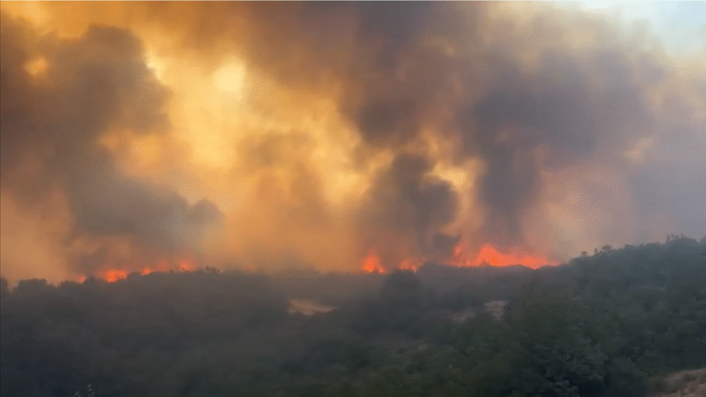 Bursa’nın Yenişehir ilçesinde orman yangını