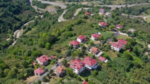 Ordu’da asfalt seferberliği devam ediyor – Birlik Haber Ajansı