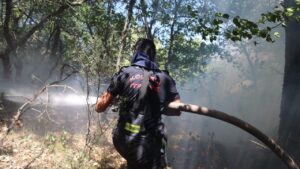 Orman gönüllülerine şehit statüsü getirildi – Birlik Haber Ajansı