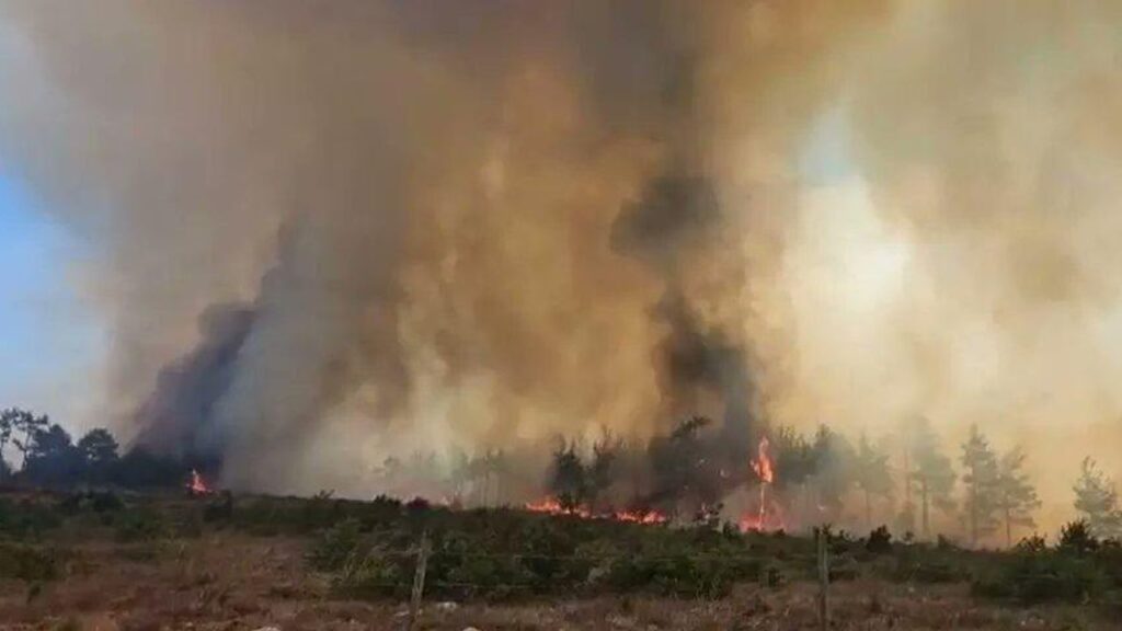 Çanakkale Merkez’de orman yangını – Birlik Haber Ajansı