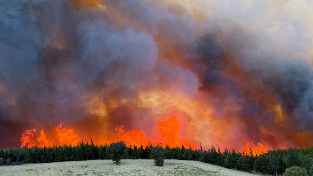 Yeşil vatan yanıyor: Çanakkale ve Manisa yangınları 2. gününde sürüyor – Birlik Haber Ajansı