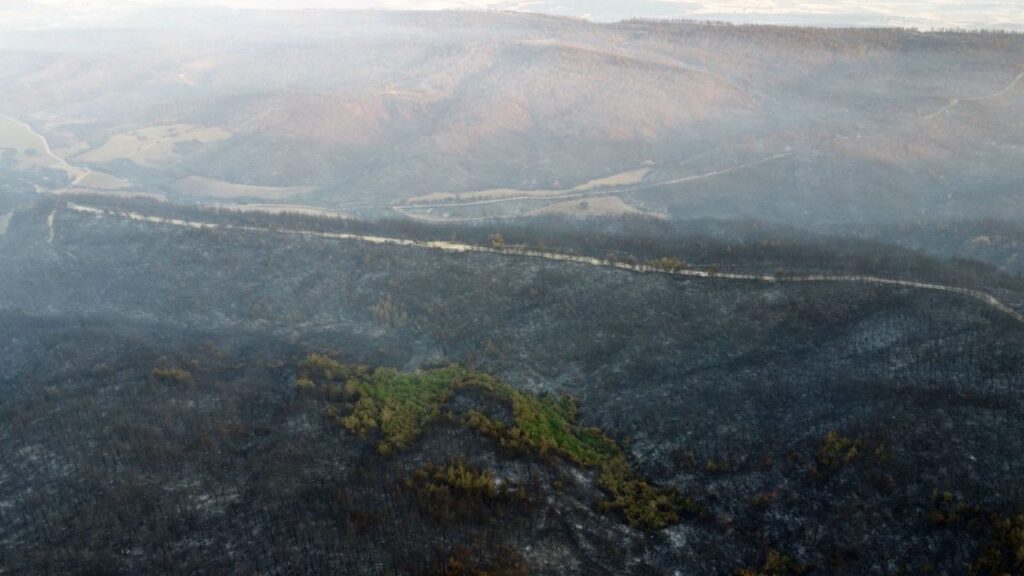 Gelibolu’daki orman yangını kontrol altında – Birlik Haber Ajansı