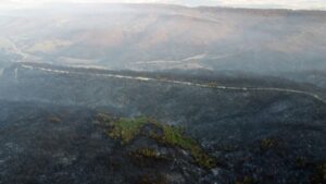 Gelibolu’daki orman yangını kontrol altında – Birlik Haber Ajansı