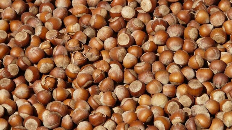 Fındık ihracatından 7 ayda 1,3 milyar dolar gelir sağlandı