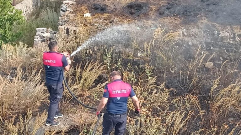 Kars Bayrampaşa TOKİ nölgesinde örtü ve anız yangını kısa sürede söndürüldü – Birlik Haber Ajansı