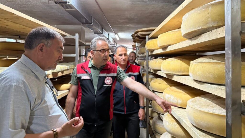 Boğatepe’de hayvancılık ve peynir yolculuğu: Geleneksel üretim yerinde incelendi – Birlik Haber Ajansı
