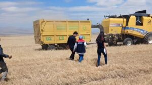Kars’ta hasat sezonu için biçerdöver kontrolleri hız kesmeden devam ediyor – Birlik Haber Ajansı