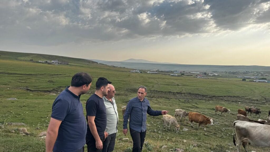 Hayvancılık yetkilileri Kars’ta incelemelerde bulundu – Birlik Haber Ajansı