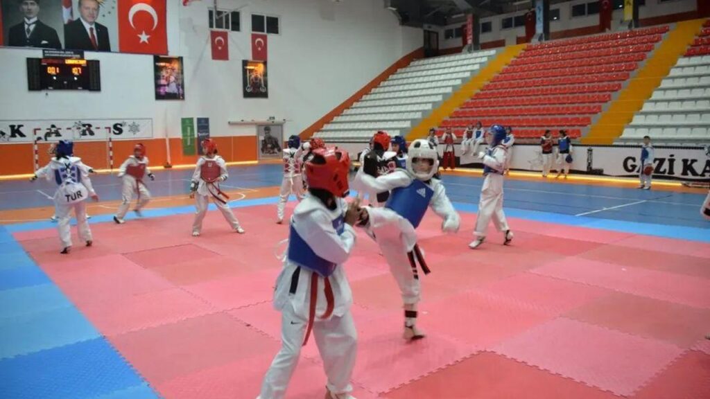 Kars, taekwondo sporunun coşkusuna ev sahipliği yaptı – Birlik Haber Ajansı
