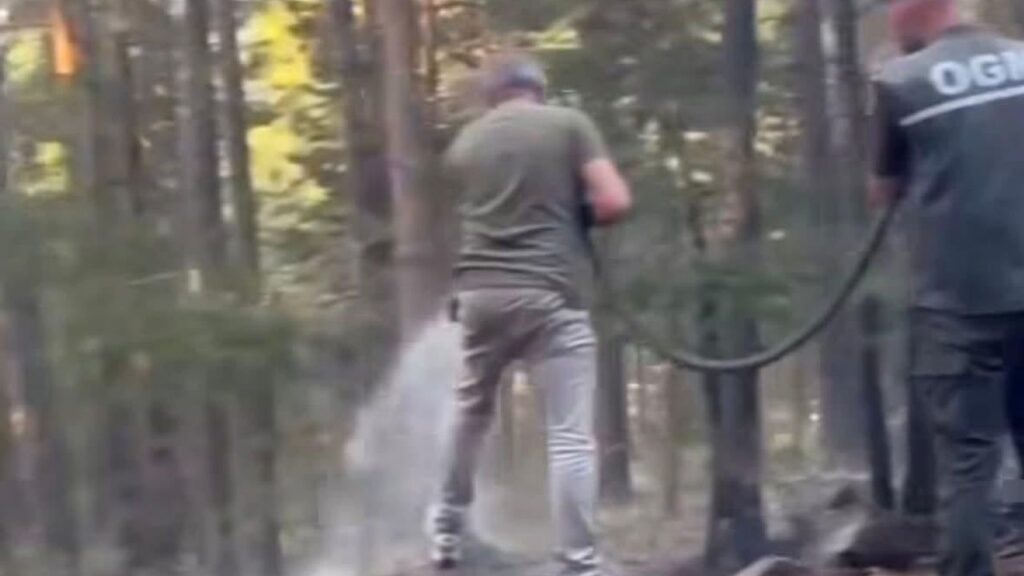 Sarıkamış’ta orman yangını korkuttu: Erken müdahale faciayı önledi – Birlik Haber Ajansı