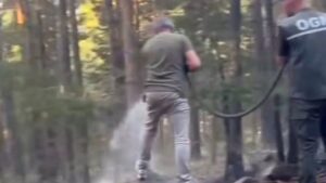 Sarıkamış’ta orman yangını korkuttu: Erken müdahale faciayı önledi – Birlik Haber Ajansı