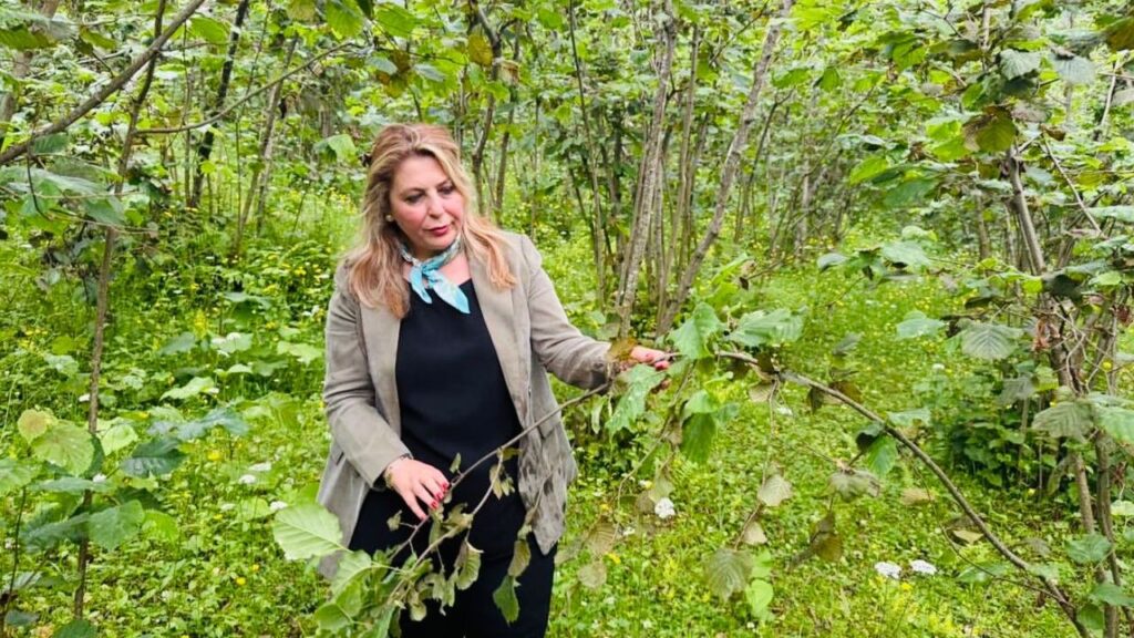 Elvan Işık Gezmiş; Fındık fiyatı tam bir fiyasko – Birlik Haber Ajansı