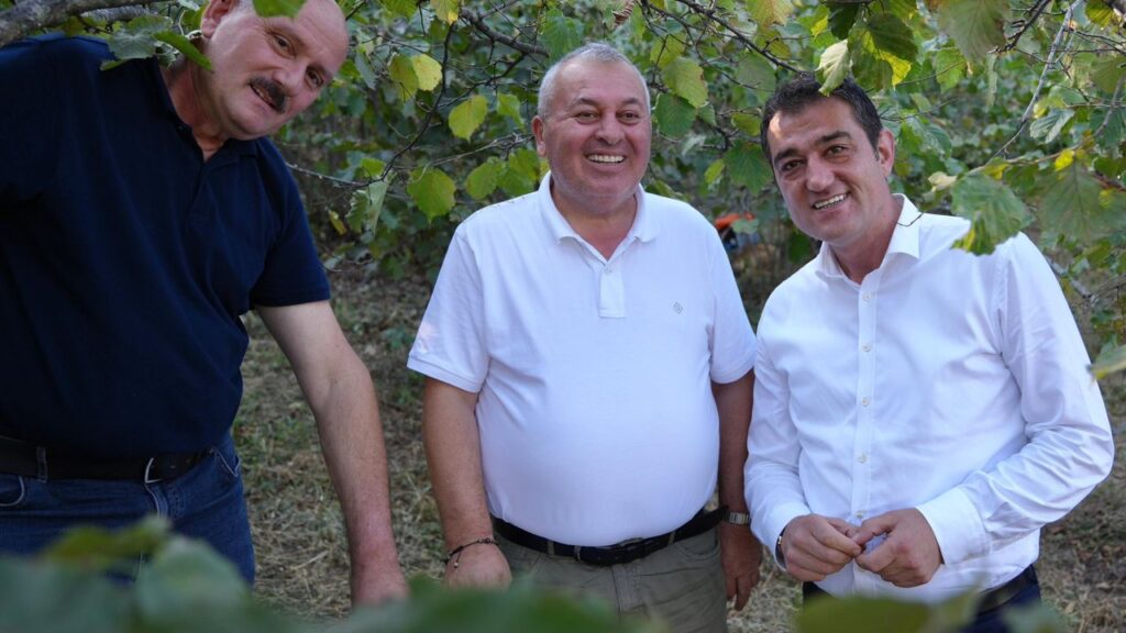 Giresun Belediye BAşkanı Fuat Köse ve Milletvekili Cemal Enginyurt fındık bahçesinde – Birlik Haber Ajansı