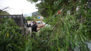 Giresun Belediyesi şehir estetiğine önem veriyor – Birlik Haber Ajansı