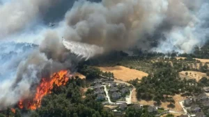 Çanakkale’deki orman yangınları kontrol altına alındı