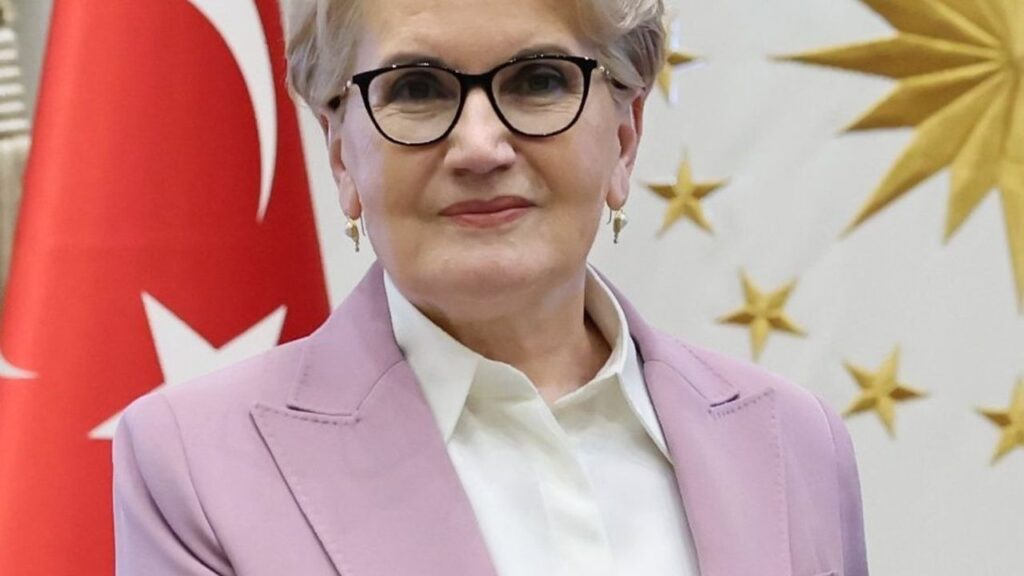 Meral Akşener: Bana vurmanın bedeli yok, ama Allah büyük – Birlik Haber Ajansı