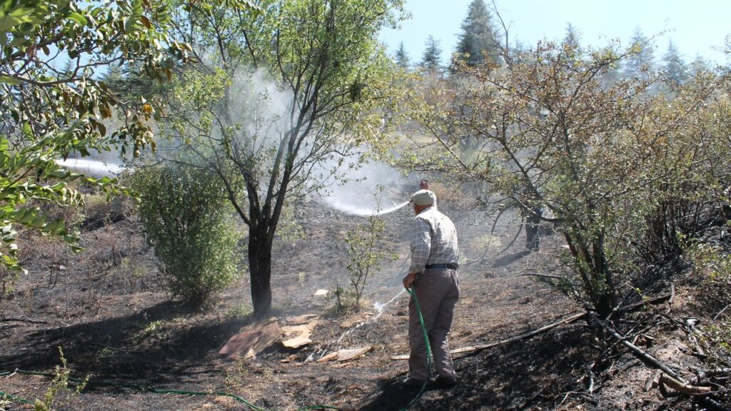 Afyonkarahisar Çay’da çıkan yangın söndürüldü – Birlik Haber Ajansı