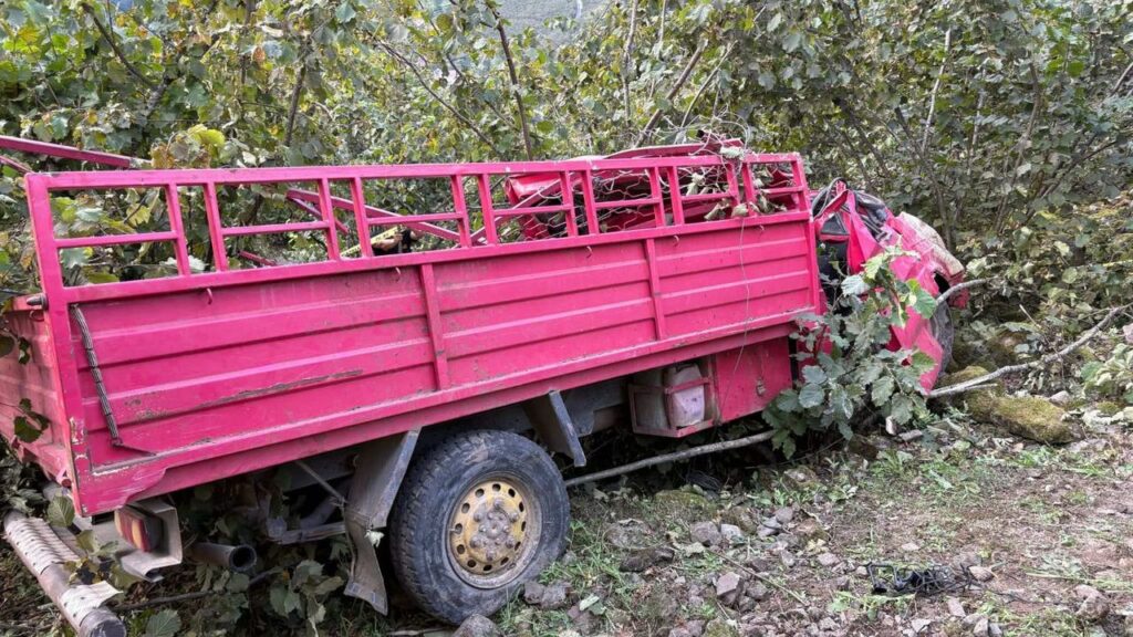 Oyraca Köyü’nde kamyonet kazası: 4 ölü, 1 ağır yaralı – Birlik Haber Ajansı