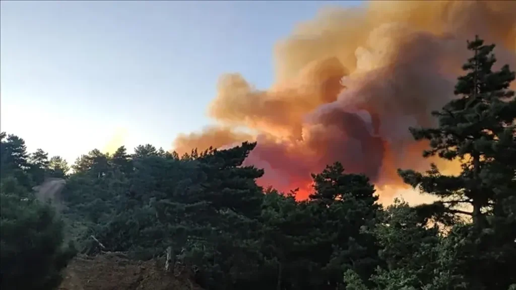 Manisa’da palet fabrikasında yangın çıktı – Birlik Haber Ajansı