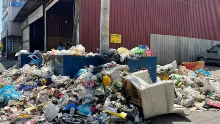 İzmir’de çöp sorunu büyüyor: Vatandaşlar çözüm bekliyor – Birlik Haber Ajansı