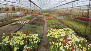 Kadın eliyle büyüyen üretim 23 Milyon TL’lik tasarruf getirdi – Birlik Haber Ajansı