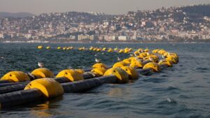 Çamur gidiyor, yeni canlılar geliyor – Birlik Haber Ajansı