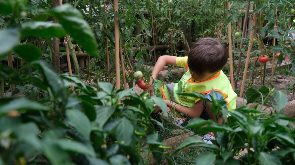 Lokomotif Çocuk Köyü’nde hasat sevinci – Birlik Haber Ajansı