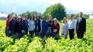 Kadın emeği tarımın lokomotifi – Birlik Haber Ajansı