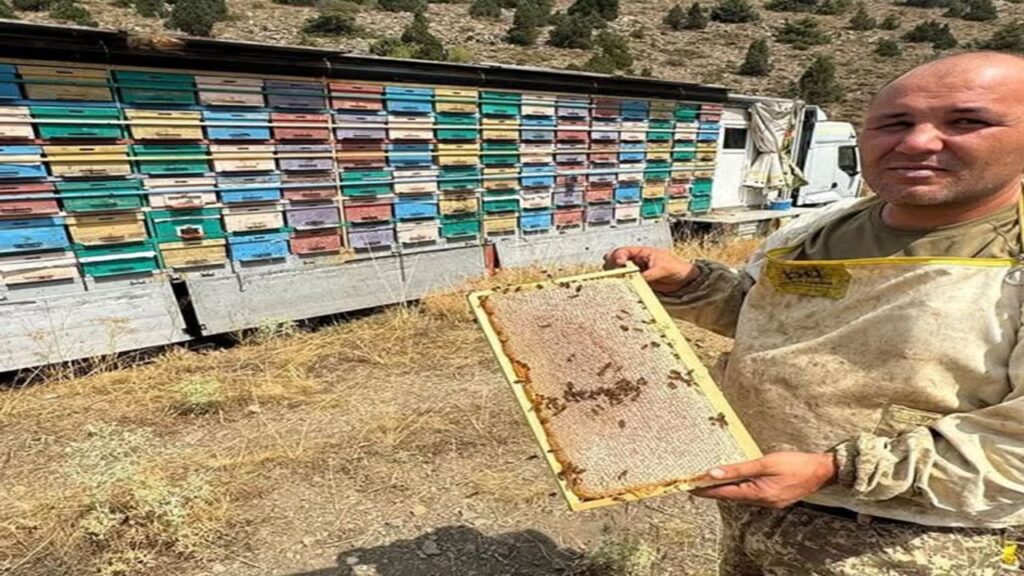 Toroslar’da gezici bal tırıyla doğal bal üretimi – Birlik Haber Ajansı