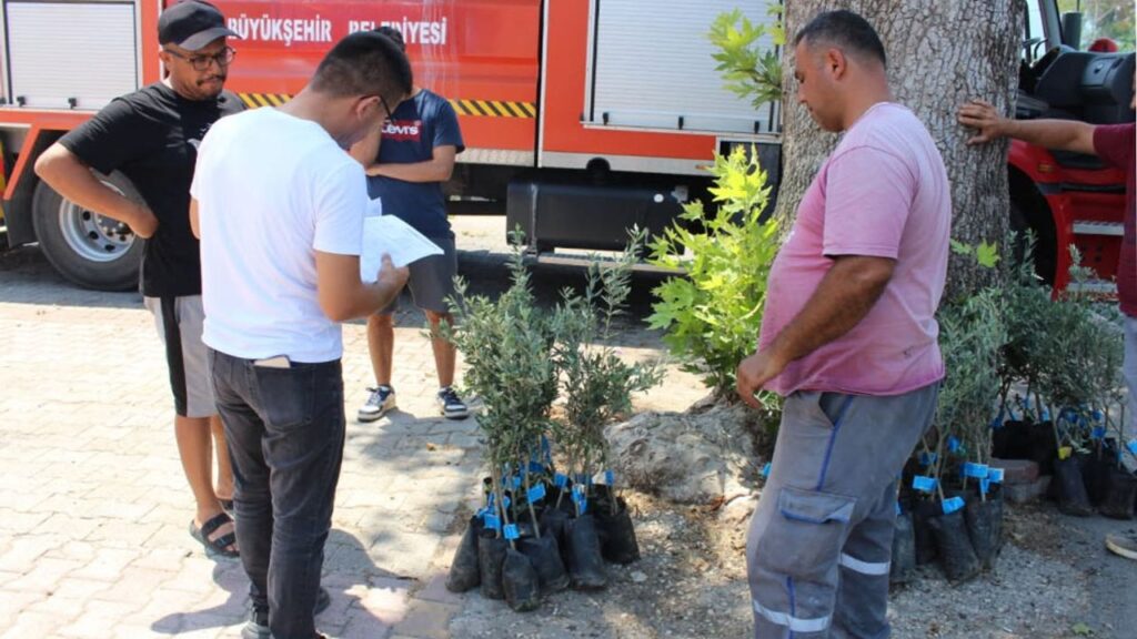 Antalya’lı üreticiye zeytin fidanı desteği! – Birlik Haber Ajansı
