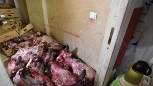 Antalya’da mide kaldırmaz görüntüler! Bir marketin deposunda çürük et skandalı – Birlik Haber Ajansı