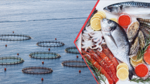 Doğu Karadeniz su ürünleri dünyaya ihraç ediliyor – Birlik Haber Ajansı