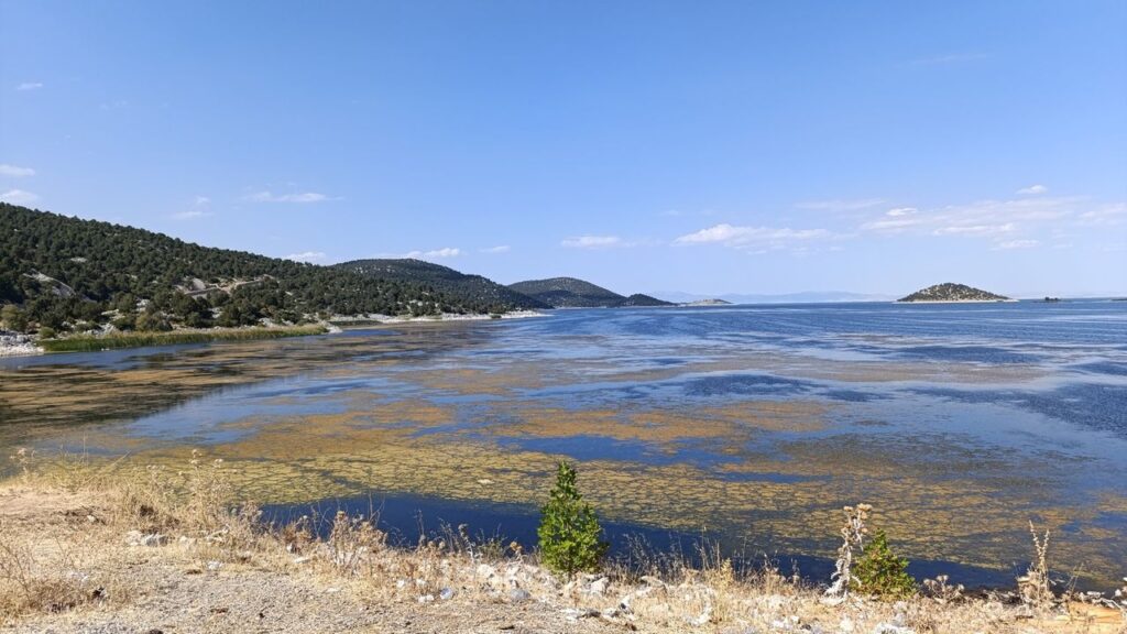 Kırkkepenekli Göleti’nde su çekilmesi balık ölümlerine yol açtı – Birlik Haber Ajansı