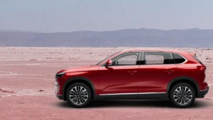 Türkiye’de otomobil satışları artıyor: Togg zirveye oynuyor – Birlik Haber Ajansı