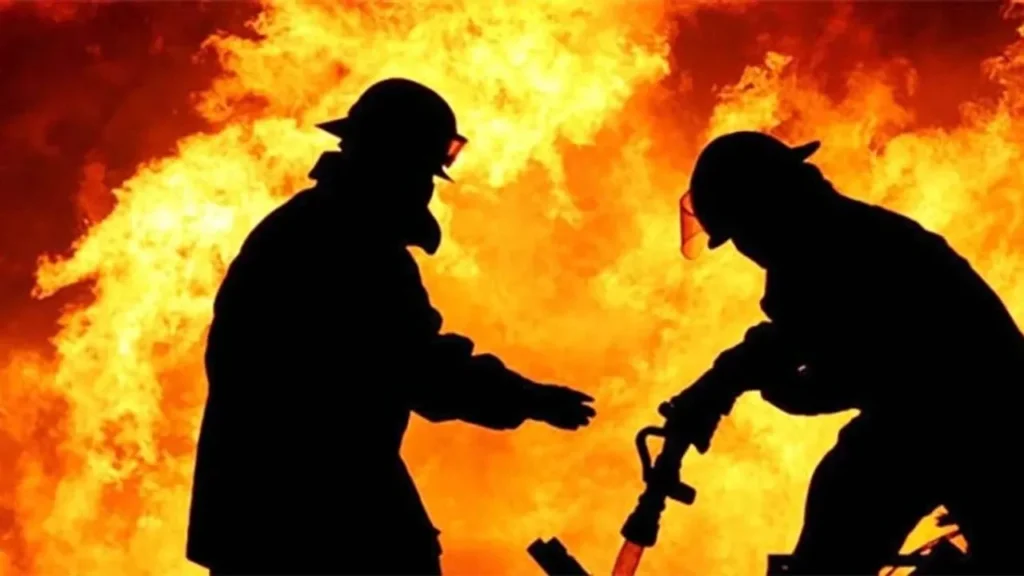 Orman yangınına 2 kişi neden oldu, serbest bırakıldılar – Birlik Haber Ajansı